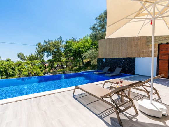 Villa Jungle