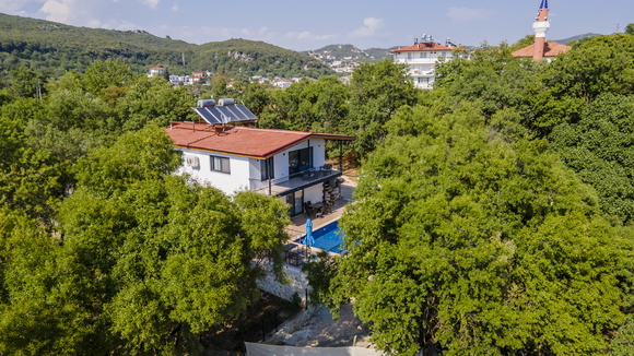 Villa Nemlizade