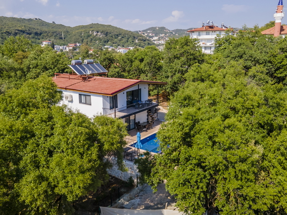 Villa Nemlizade